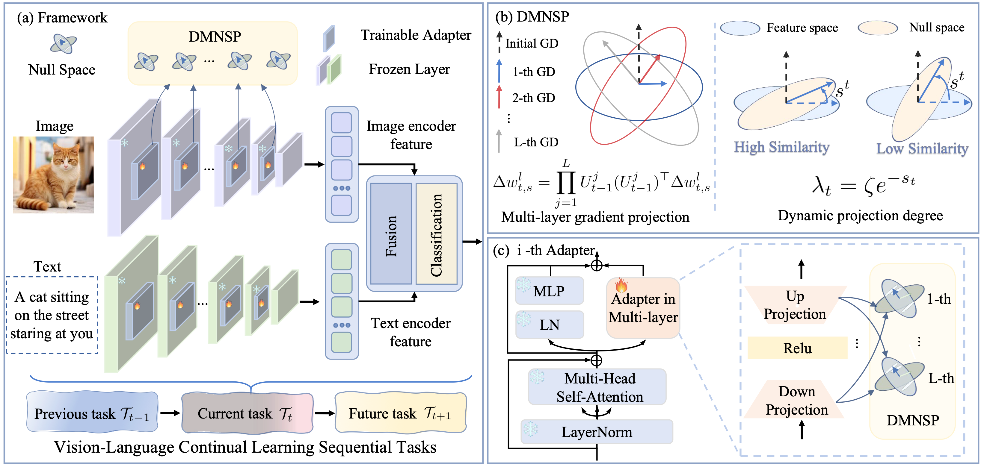 DMNSP Framework